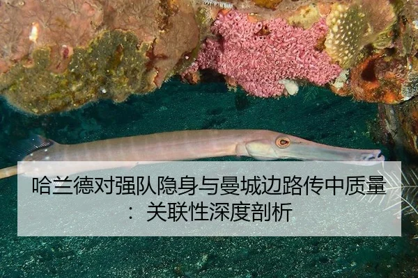 ha-lan-de-dui-qiang-dui-yin-shen-yu-man-cheng-bian-lu-chuan-zhong-zhi-liang-guan-lian-xing-shen-du-pou-xi-2-310.jpg